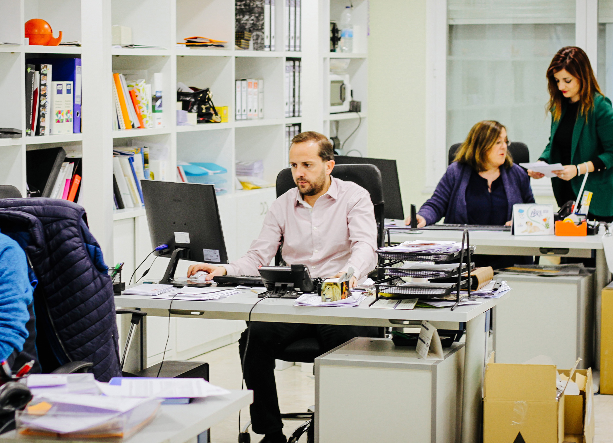 Trabajando en nuestras nuevas oficinas